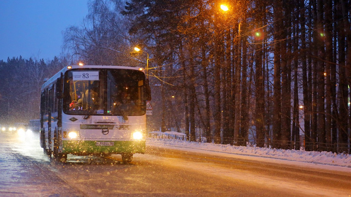 Как уехать на ёлку: опубликовано расписание автобусов на новогоднюю ночь и Рождество