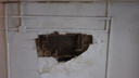 В общежитии на Шишкина обвалился потолок — его не спешат чинить
