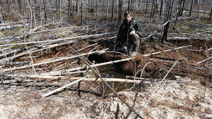 Ученые Керженского заповедника показали берлогу, в которой зимовали 4 медведя
