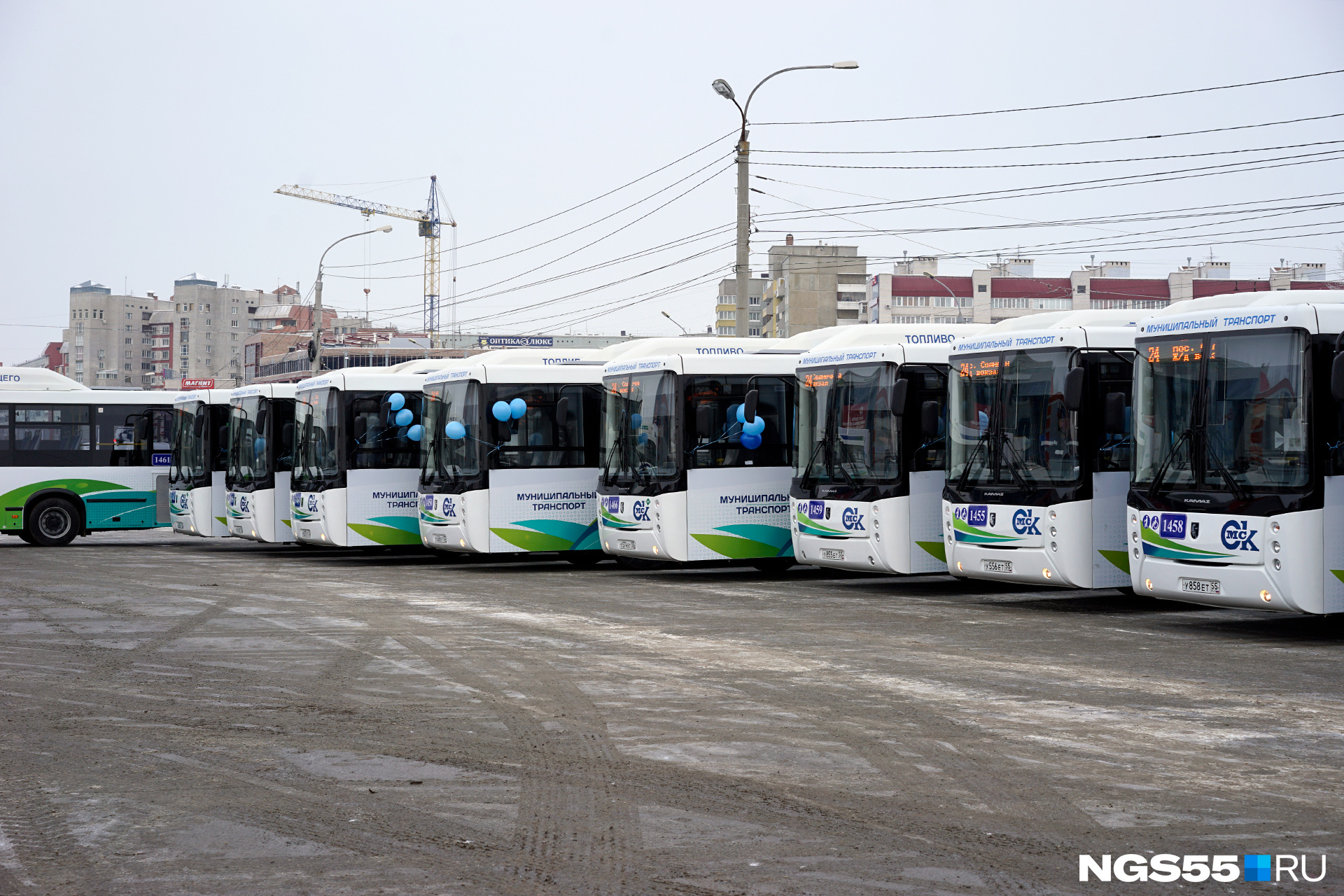 Омск город и транспорт. Омск автобус 2020. Новые автобусы Омск. Транспорт Омск новый. Общественный транспорт Омск 2020.