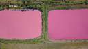 Эксперты выяснили, откуда в Самарской области взялись розовые озёра