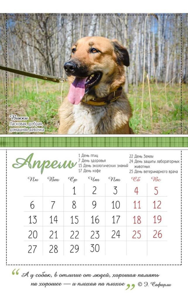 На страницах календаря можно прочитать о характере собак