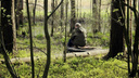 Заблудившийся в ярославских лесах столичный пенсионер прошёл 20 километров