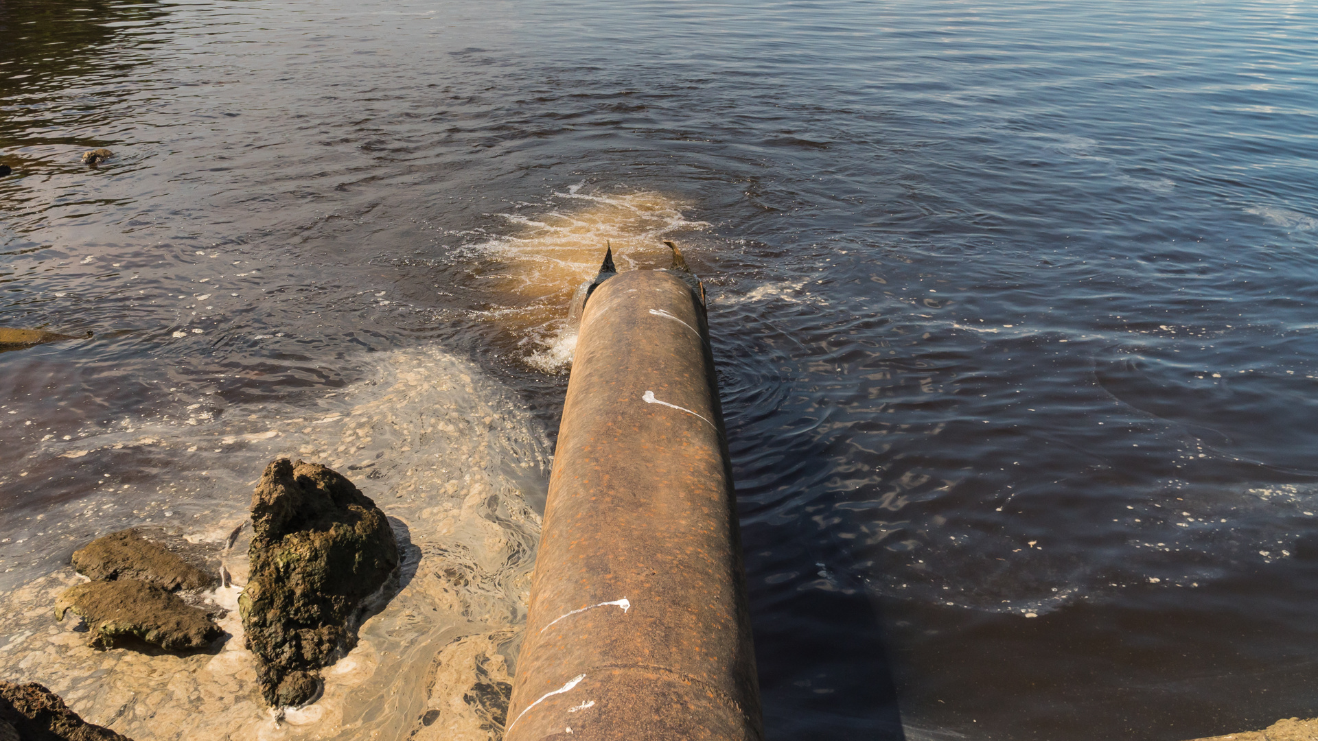 Вода в каме сегодня. Загрязнение реки Кама. Река Кама грязная. Загрязнение рек Пермь. Загрязнение воды в Перми Кама.