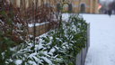 Новосибирск засыпало снегом: водители встали в 8-балльные пробки