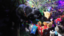 В канун Нового года новосибирцы разобрали щенков из питомников