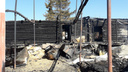 «От лошадей остался пепел»: владельцы сгоревшей под Жигулевском зоогостиницы просят помощи
