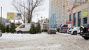 Челябинский торговый комплекс избавился от ёлочного базара на парковке после публикации 74.RU