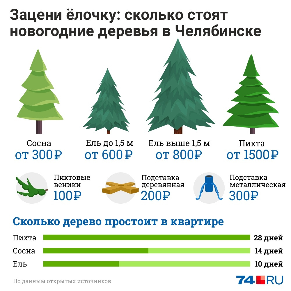 Стоит елка на горе. Елочный базар. Сколько будет стоить ель. Елочные базары инфографика. Сколько будут стоить ёлки в этом году.