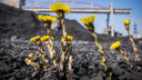 В новосибирских ТЭЦ начался сезон уборки угля (фото)