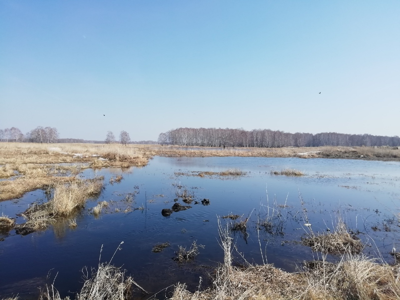 Вода затопила поля и огороды Вода затопила поля и огороды