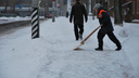 Заборы, ледяная корка и реагенты: о чем горожане спрашивали фирму, убирающую Архангельск от снега?