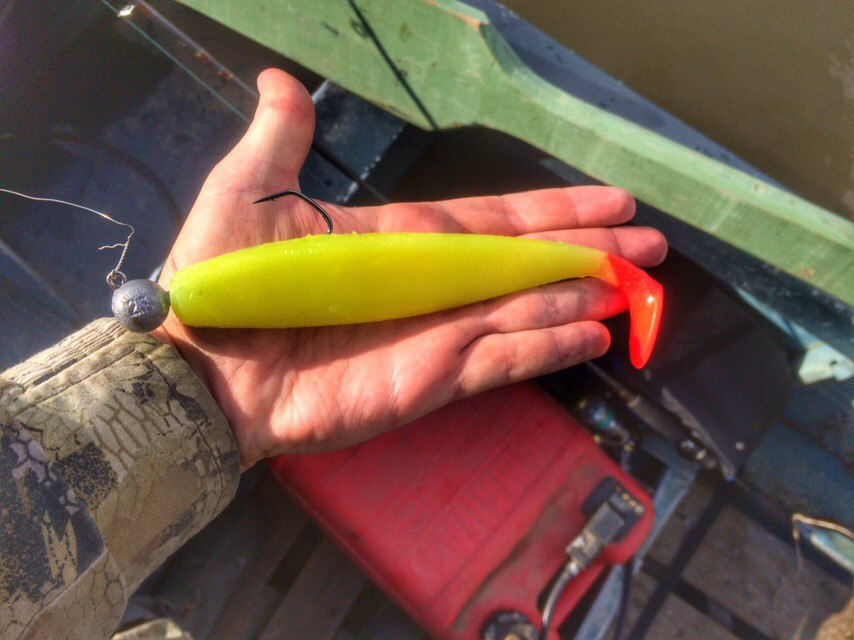 На рыбалке Виталий использует яркие силиконовые приманки в форме маленьких рыб — цвет приманки подбирается в зависимости от температуры воды