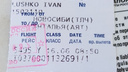 Самолёт Новосибирск — Анталья чудом избежал катастрофы в небе над Турцией