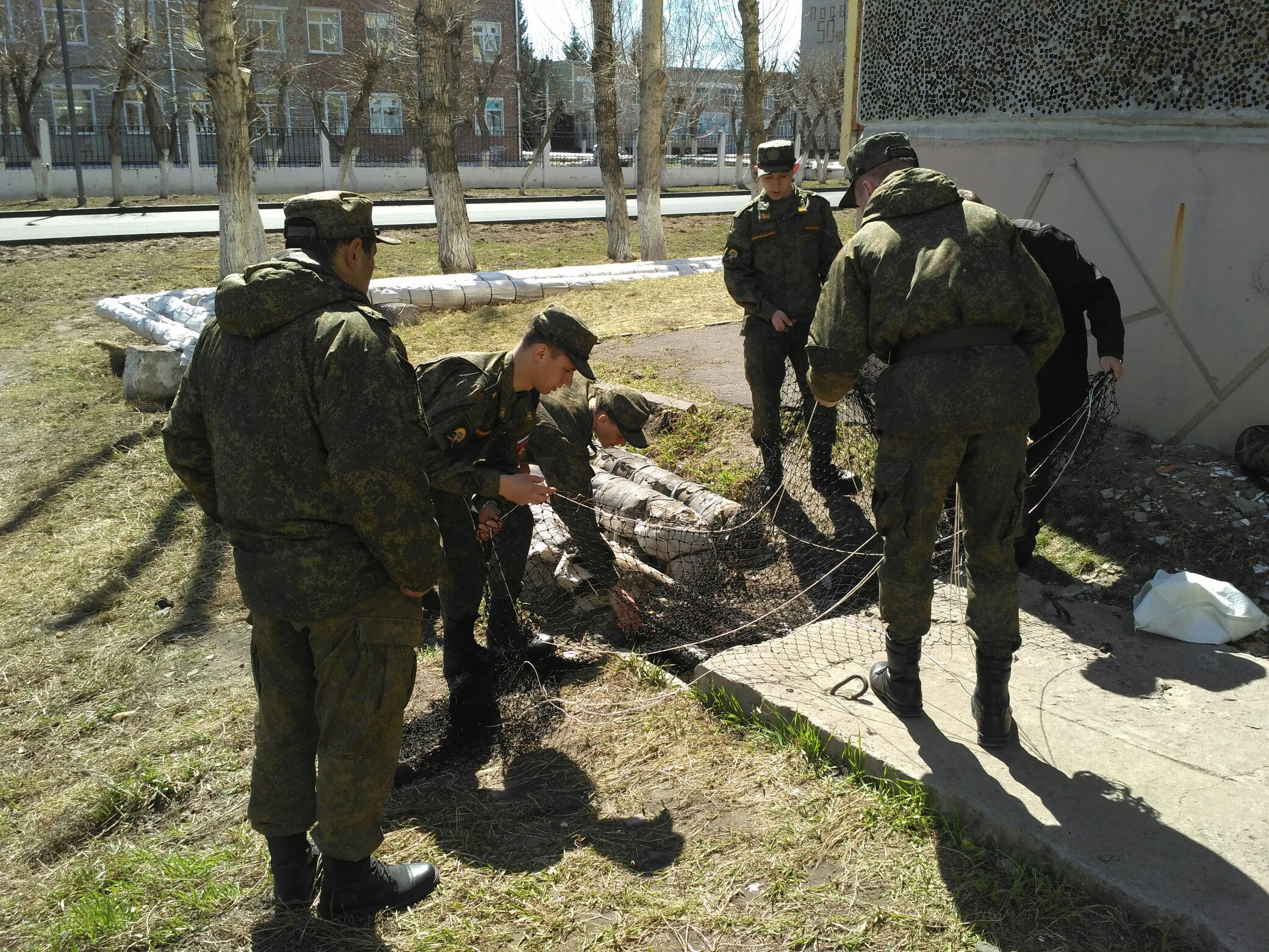 Курсанты института пытались сетью поймать собаку Курсанты института пытались сетью поймать собаку