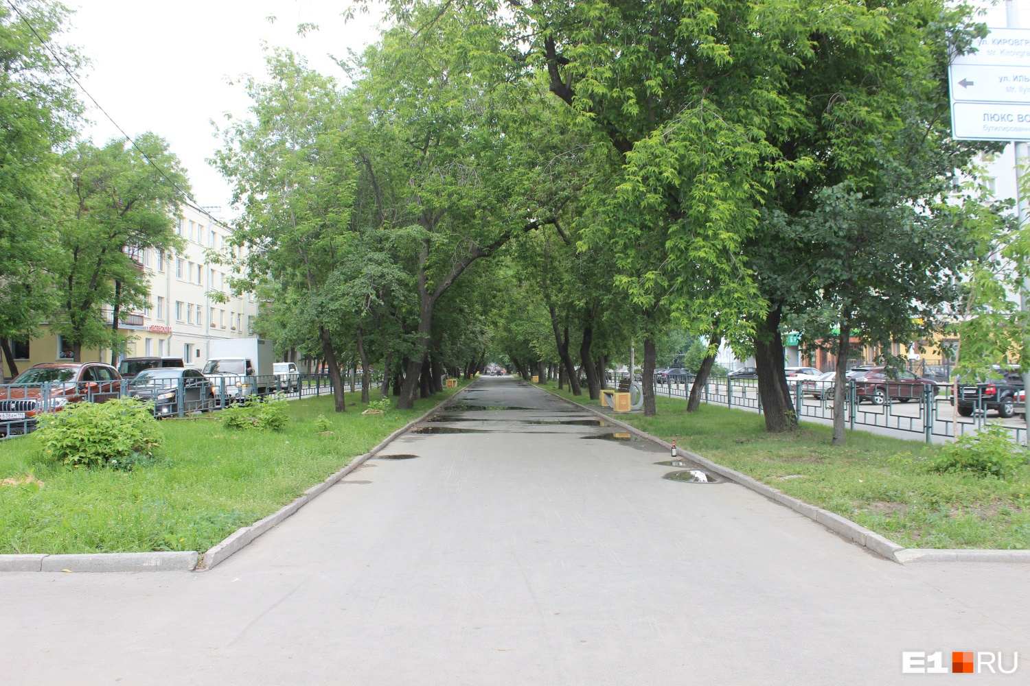 Аллея по улице Кировградской тянется до самого леса