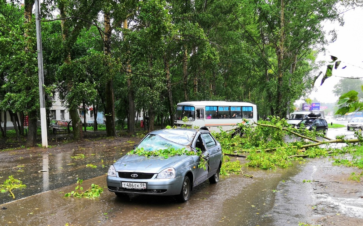 Помимо упавшего дерева и сломанной машины, в Чайковском, кажется, ещё и проблемы с ливневками