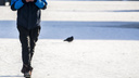 Жив и здоров: под Новосибирском нашли пропавшего подростка в синей куртке