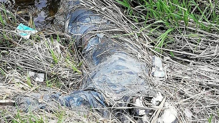 СКР отказался заводить дело о скелете человека, найденном на ЕКАД во время «Майской велопрогулки»
