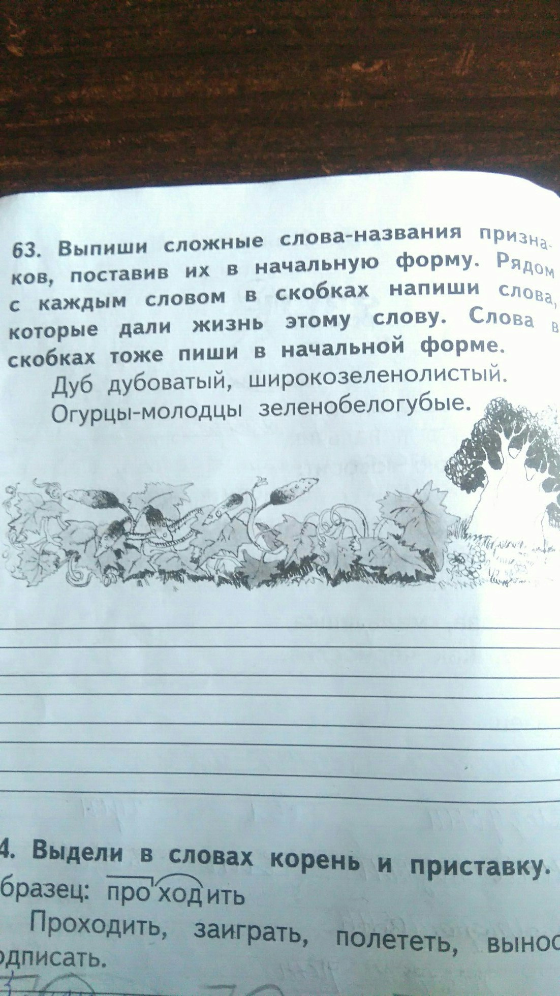 Самые нелепые задания из учебников для челябинских школьников 20 декабря  2019 - 20 декабря 2019 - 74.ru