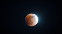 Хорошо увидит фотоаппарат: этой ночью Луна потускнеет в небе над Новосибирском