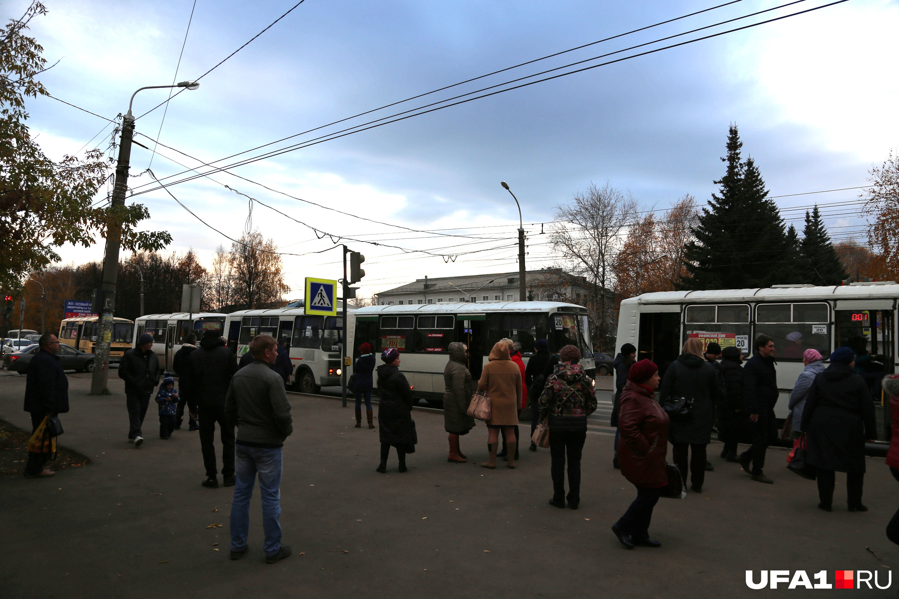 Частные перевозчики — беда или спасение от транспортного коллапса? Частные перевозчики — беда или спасение от транспортного коллапса?
