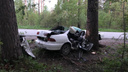 «Хонду» расплющило после столкновения с деревом на трассе под Новосибирском: погиб водитель