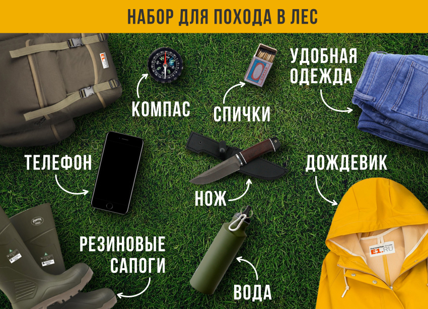 Заблудиться в лесу может и взрослый, и ребенок. Вот вещи, которые обязательно нужно взять с собой, если идете в лес Заблудиться в лесу может и взрослый, и ребенок. Вот вещи, которые обязательно нужно взять с собой, если идете в лес