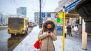 Остановки с прогнозом погоды и парковки с мониторингом: Челябинск превратят в «умный город»