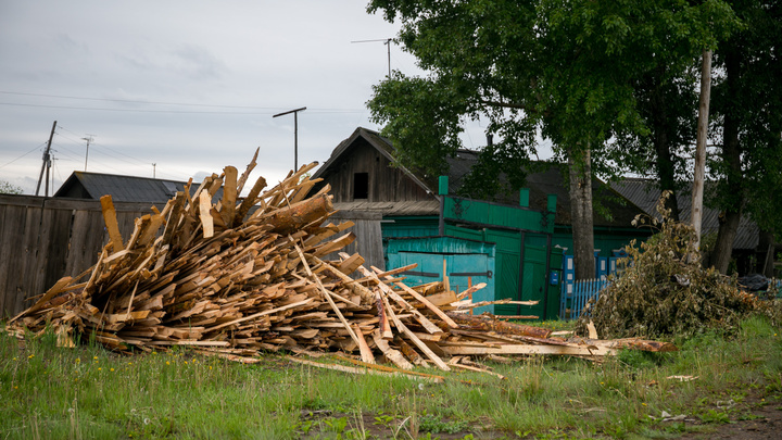 Жителя Енисейска заставили выплатить полмиллиона за незаконную рубку леса