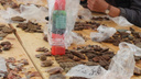 «Человечек из кремня»: археологи нашли в Кенозерье около семи тысяч древнейших предметов