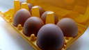 Роспотребнадзор нашёл омского производителя яиц, заражённых сальмонеллёзом