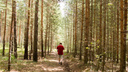 В Ярославской области хотят ввести новый закон о защите деревьев