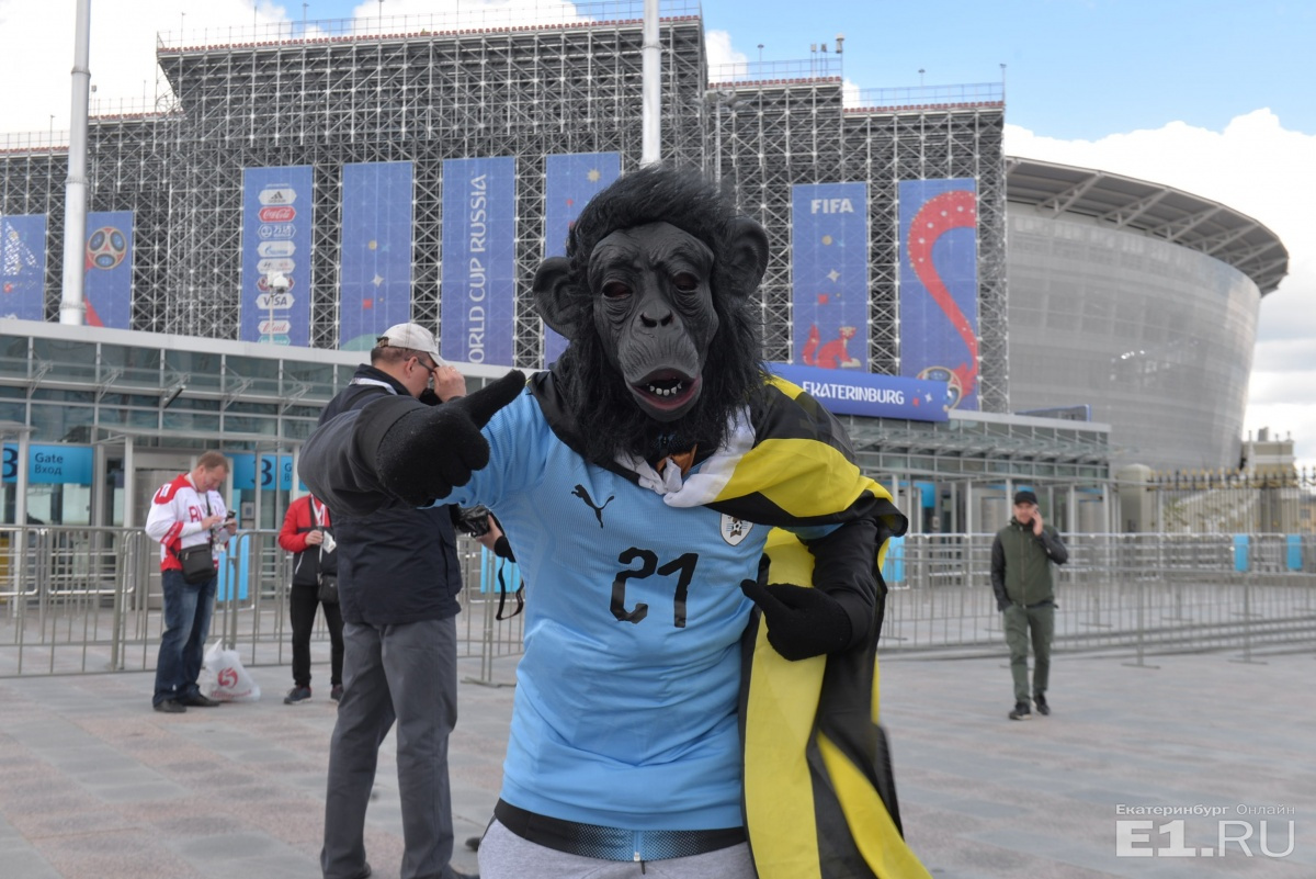 Уругвайская горилла готова рычать за свою сборную