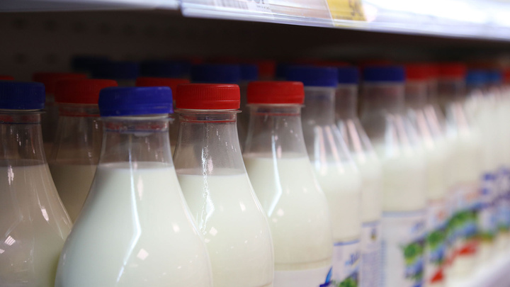 Давлекановский молочный комбинат признали банкротом