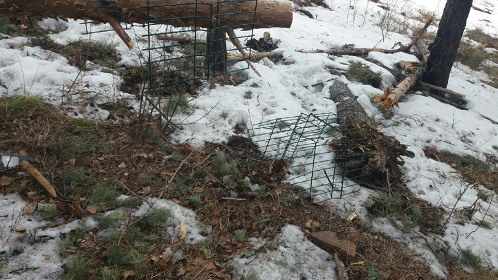 На Николаевской сопке после схода снега обнаружилась свалка строительного мусора