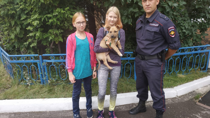 Сотрудники полиции подобрали щенка и вернули хозяйке на следующие сутки