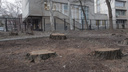 В Ростове неизвестные вырубили деревья в парке имени 1 Мая