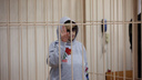 Жену экс-главы клиники Мешалкина арестовали на два месяца