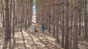 По указке Жириновского: полиция ищет вандалов, срубивших деревья в парке 60-летия Советской власти