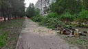 Ради перекладки скандально известной теплосети на Стара-Загоре — Ташкентской вырубят 147 деревьев