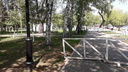 «Вот-вот рухнет на отдыхающих»: в парке Гагарина хотят снести 300-летний дуб