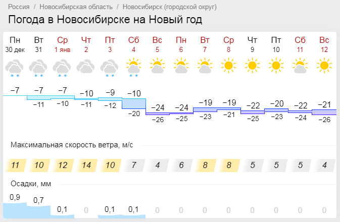 Прогноз погоды бийск по часам. Погода на новый год в Новосибирске. Погода в Бийске на 1 декабря. Бийск погода на декабрь. Погода в Новосибирске на 31 июля.