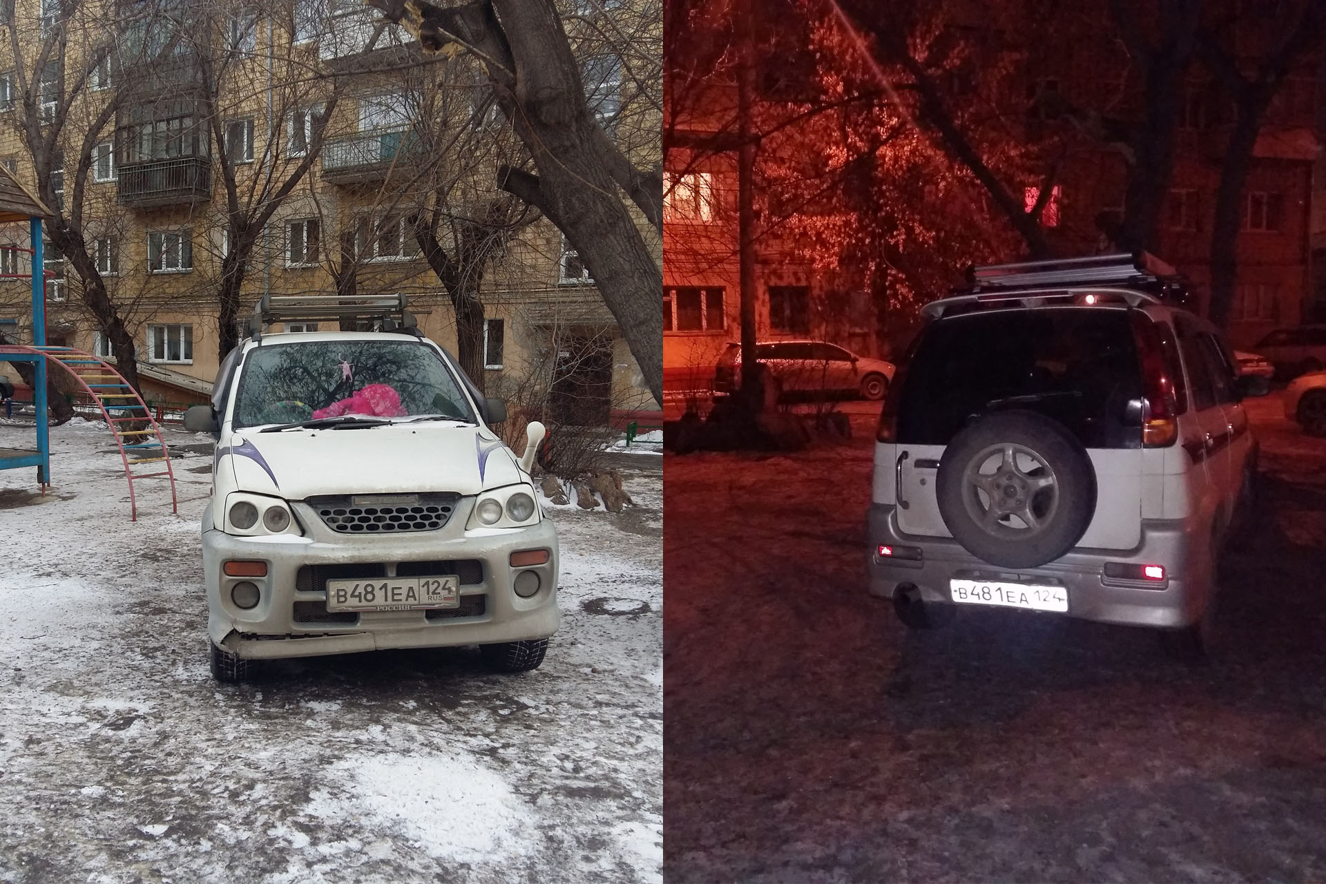 Опять что-то выросло. Как удалять такие сорняки? Опять что-то выросло. Как удалять такие сорняки?