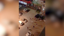 «Доставай нож»: пьяные разборки в «Парковом» очевидцы сняли на видео