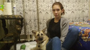 Слишком поздно: ветеринары нашли неизлечимую болезнь у собаки, которой помогли приехать из Иркутска