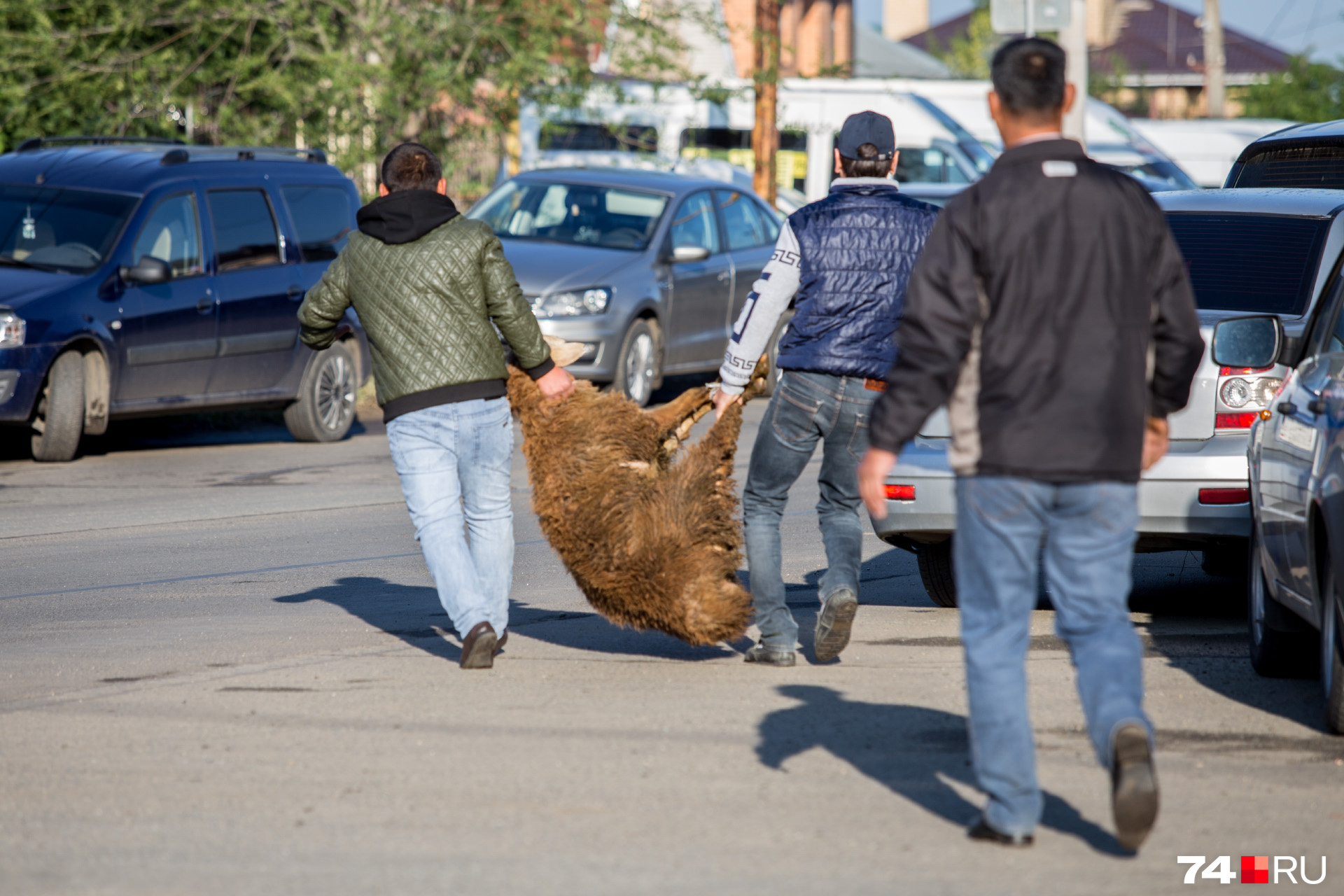 В отличие от центра города на северо-западе Челябинска животных в жертву приносили