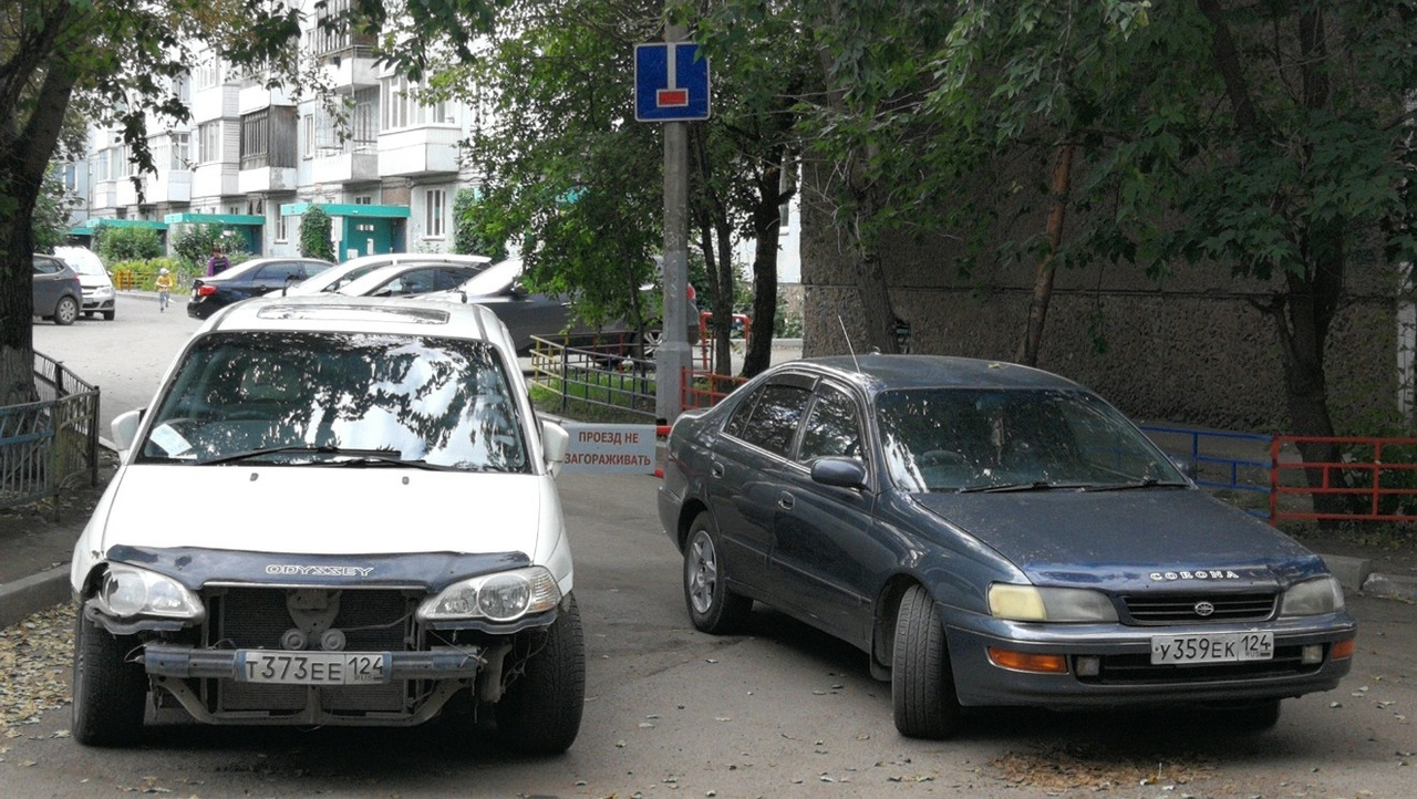 Тупик. Тупик в умственном развитии Тупик. Тупик в умственном развитии