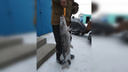 «Она мне крутила руки»: в Самарской области рыбак поймал щуку весом 6 кг