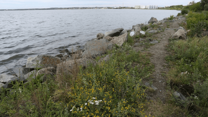 «Будет самое красивое место в городе»: как и за сколько обустроят набережную озера в Челябинске
